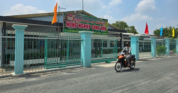Nhiều vi phạm tại Nông trường Sông Hậu, Nông trường Cờ Đỏ