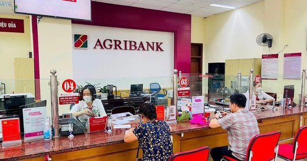 Lãi suất ngân hàng Agribank đầu tháng 7/2025: Gửi kỳ hạn nào có lãi suất tốt nhất?