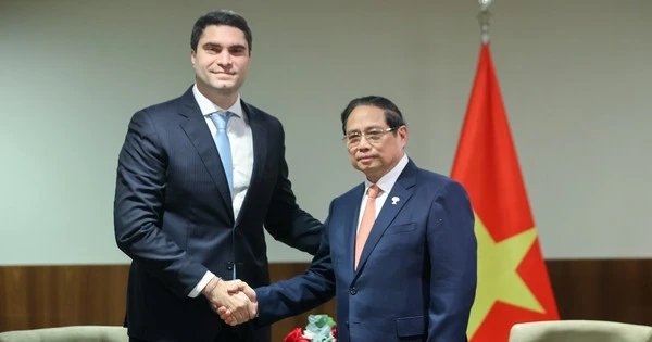 Gặp Thủ tướng, nhà sản xuất quặng lớn nhất thế giới muốn tăng hợp tác với Việt Nam