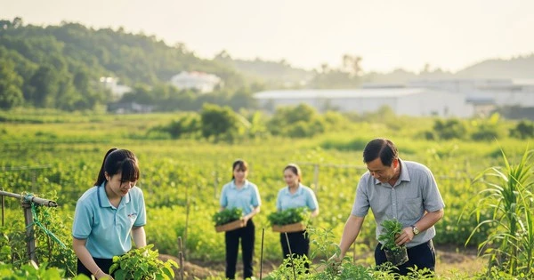 Việt Nam cần gần 370 tỷ USD để đạt mục tiêu lớn vào năm 2050: 