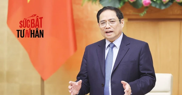 Thủ tướng: Nhà đầu tư có tiền thì có thể đầu tư bất kỳ lĩnh vực nào có hiệu quả, lợi nhuận, nên không cần phải có kinh nghiệm