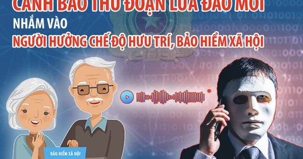 Người đàn ông bị lừa toàn bộ số tiền nghỉ hưu trước tuổi được hưởng theo chế độ 178