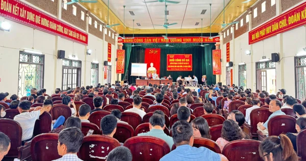 Ninh Bình: Thu về gần 500 tỷ đồng sau 6 phiên đấu giá, vượt hàng trăm tỷ đồng so với tổng giá khởi điểm