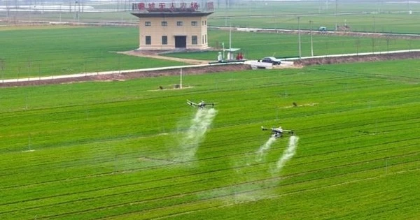 Những cánh đồng không bóng nông dân tại Trung Quốc: Tràn ngập máy cày robot, drone giám sát, dữ liệu liên tục phát về phòng điều khiển