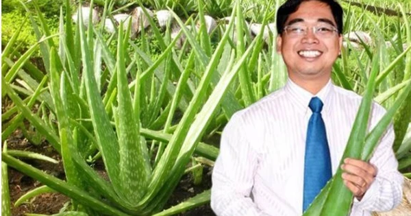 'Ông trùm' cung cấp nguyên liệu cho Trung Nguyên, Vinamilk, Masan... với doanh thu 12.000 tỷ trở thành cổ đông lớn của 'vua' nha đam