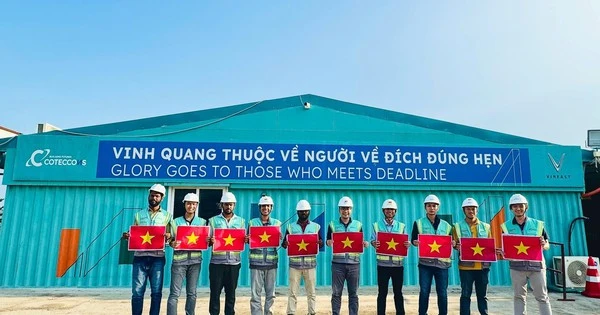 Coteccons thi công “thần tốc” nhà máy VinFast 2 tỷ USD tại Ấn Độ, hoàn thành sau 17 tháng