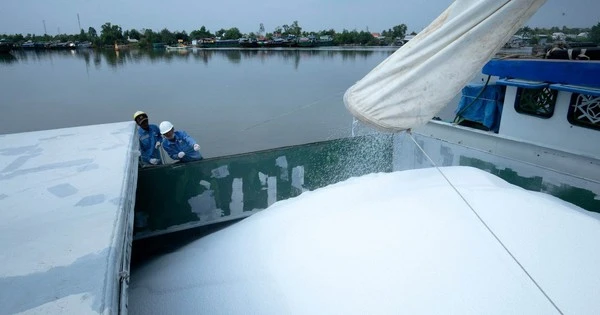 Tiền mặt ngập két, lợi nhuận tăng sốc, DN bán mặt hàng quan trọng của nền kinh tế bứt phá chưa từng có