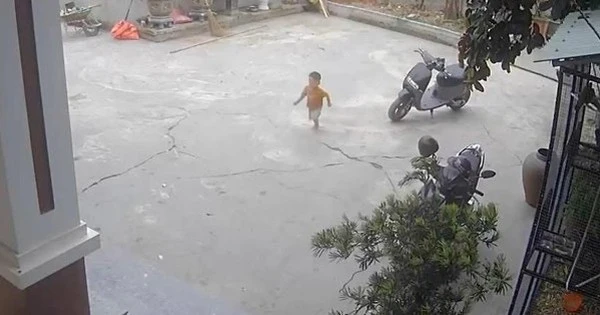 VIDEO: Bé trai gần 3 tuổi gọi người lớn cứu bạn rơi xuống ao