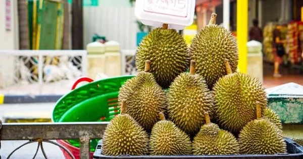 Sau sầu riêng, thêm một mặt hàng của Campuchia 'đối đầu' Việt Nam ở Trung Quốc: Nước ta là nguồn cung lớn nhất, chiếm đến 97% thị phần