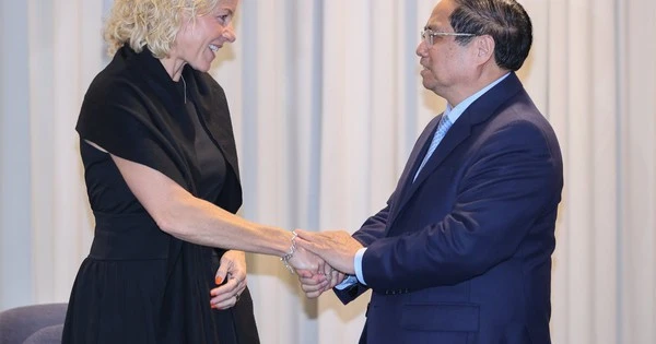 Gặp Thủ tướng, tập đoàn Thụy Điển muốn giúp Việt Nam thành trung tâm toàn cầu đầu tiên trong 1 lĩnh vực