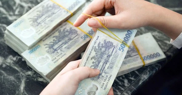 Một hộ kinh doanh bán lẻ thủy sản thu 560 tỷ đồng trong năm 2024, 5 hộ kê khai doanh thu hơn 200 tỷ đồng/năm