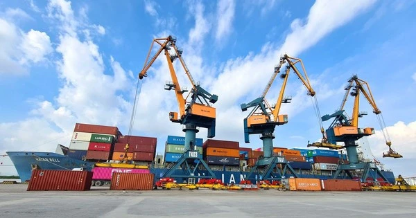 Doanh nghiệp có đội tàu container lớn nhất Việt Nam chốt quyền nhận cổ tức tổng tỷ lệ 40%