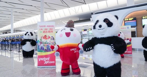 Ghé Thành Đô ngắm gấu trúc, cùng máy bay Amy Vietjet chào đón mùa thu