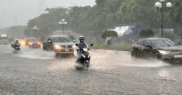 Tin gió mùa Đông Bắc mới nhất: Miền Bắc sắp có mưa, nhiệt độ giảm