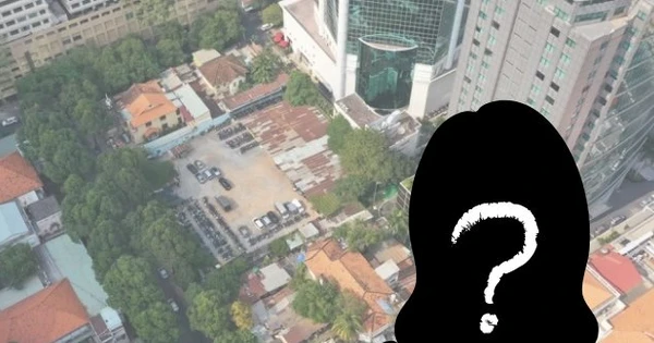 Nữ Việt kiều bí ẩn giúp đại gia Việt Nam sang tay 44 khu đất 