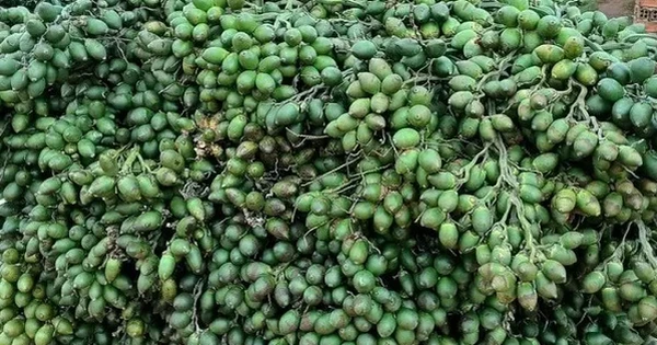 Từng tăng nhập khẩu 1.200%, một mặt hàng từ Trung Quốc đổ bộ ngược trở lại Việt Nam, nước ta chi gần 300 tỷ đồng mua hàng