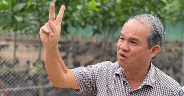 Bầu Đức: Giá chuối xuất khẩu sang Trung Quốc tăng dựng đứng sau 1 tuần căng thẳng thuế quan Mỹ