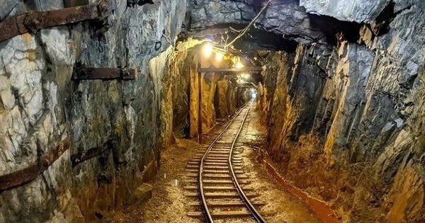 Phát hiện kho báu quý hơn vàng trị giá 162 nghìn tỷ đồng trong nhà nhưng không được dùng