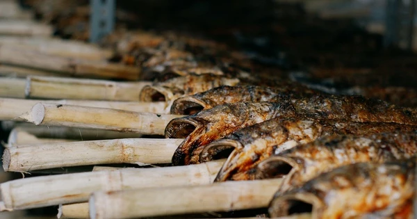 'Kho báu' dưới nước giúp Việt Nam thành ông trùm số 1 thế giới: chất lượng vừa rẻ vừa ngon, chỉ Việt Nam tạo nên ngành công nghiệp tỷ đô