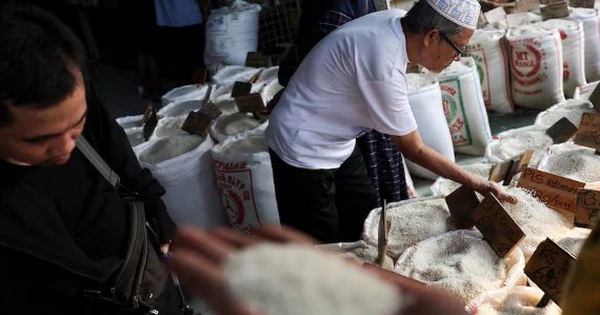 Buồn của quốc gia Đông Nam Á là 'khách ruột' của gạo Việt: Người dân bàng hoàng vì giá đắt đỏ, nguồn cung gạo chất lượng cao khan hiếm