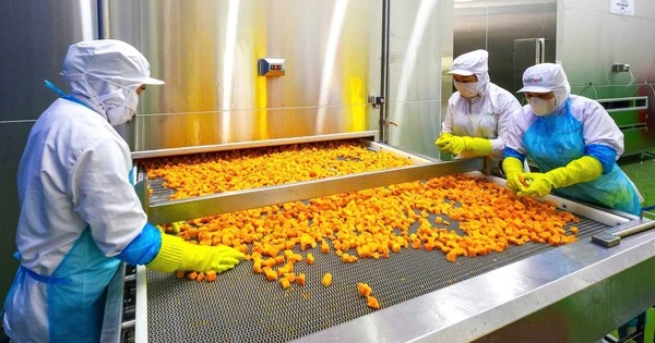 Nhà máy chế biến nông sản hơn 666 tỷ đồng vừa khánh thành tại Cần Thơ: Đưa nông sản Đồng bằng sông Cửu Long vươn ra thế giới