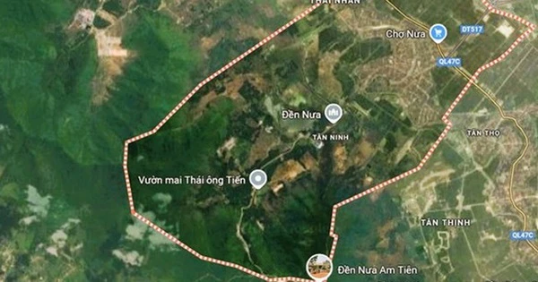 Chuyển đổi 44 ha rừng để thực hiện dự án tâm linh 35.000 tỉ đồng, có tượng Phật cao nhất thế giới