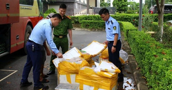 Khám xét xe khách, phát hiện cảnh tượng kinh hoàng bên trong