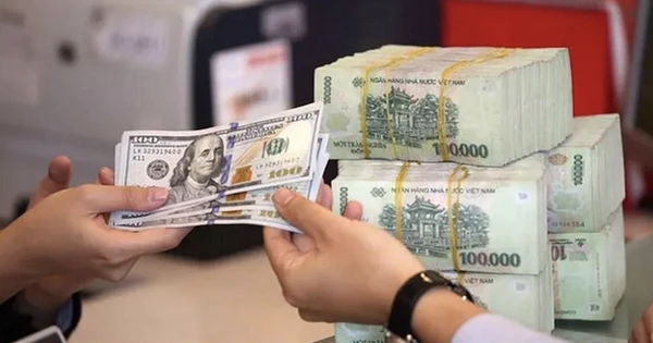 Chuyên gia: Kho bạc đã mua gần 1,9 tỷ USD từ đầu năm, tiền Đồng chịu áp lực mất giá nhưng vẫn trong tầm kiểm soát của Ngân hàng Nhà nước