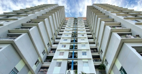 Sử dụng, bán lại nhà ở xã hội sai phạt 120 triệu đồng: Chưa đủ sức răn đe