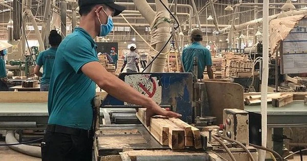 Sự thật vụ một doanh nghiệp gỗ đặt mục tiêu doanh thu gần 1 triệu tỉ đồng