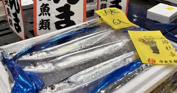 Cùng một tên gọi, ở Việt Nam chỉ bán vài trăm nghìn, Nhật Bản bán hơn 50 triệu/kg: Tại sao lại đắt như vậy?