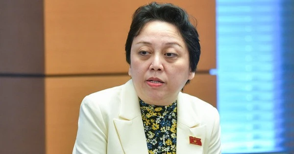 Bà Phạm Khánh Phong Lan: Báo chí vừa thông tin, đi kiểm tra đâu cũng nói 