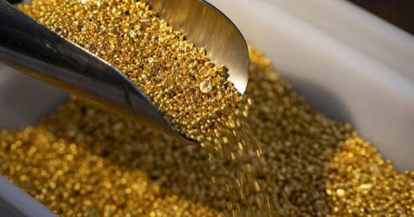 Hiệp hội kinh doanh Vàng: Cần khoảng 5 tỷ USD để nhập vàng nguyên liệu mỗi năm, dự trữ ngoại tệ sẽ không bị ảnh hưởng
