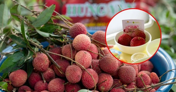 Vải trứng Hưng Yên được mang bán trên trời!