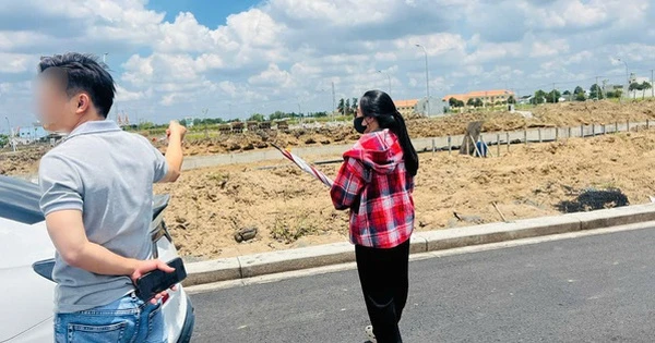 Chuyện gì đang xảy ra với thị trường đất nền?