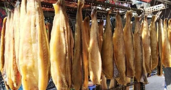 Cả thế giới tranh nuôi nhưng chỉ Việt Nam tạo nên ngành công nghiệp tỷ đô từ 'mỏ vàng' này: chiếm 90% thị phần toàn cầu, Mỹ và Trung Quốc chốt đơn cực khủng