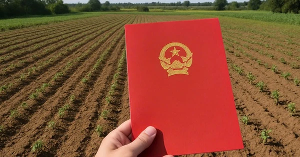 Một người dân ở quận 7 (cũ) chuyển 400m2 đất lên thổ cư hết 14 tỉ đồng