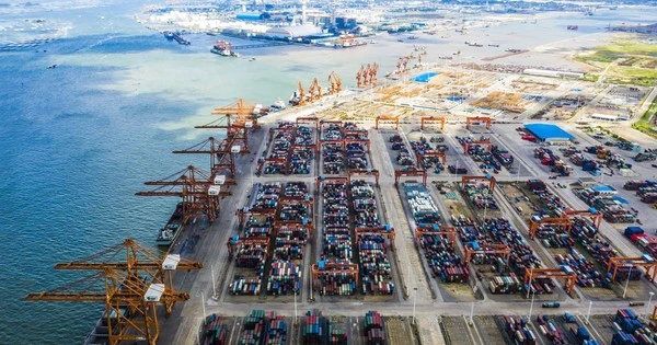 Loạt báo ngoại gọi tên mô hình kinh tế lần đầu tiên có ở Việt Nam, chuyên gia bình luận 