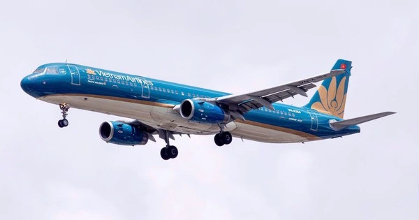 Pacific Airlines triển khai dịch vụ trọn gói trên các đường bay nội địa