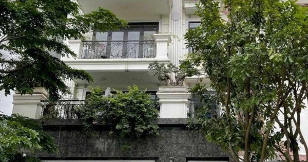 Mua căn biệt thự 200m2 với giá 36 tỷ, giờ có người trả 54 tỷ nhưng chủ quyết không bán: Bỏ thêm 6 tỷ sửa sang cho thuê, vừa có dòng tiền, vừa tăng giá theo thời gian