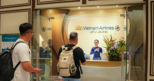 Cận cảnh hàng cây cổ thụ sắp bị di chuyển, chặt hạ để mở đường 'đắt nhất hành tinh'