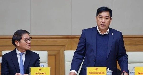 Đèo Cả trượt gói thầu tại dự án cao tốc trọng điểm, Viettel, Trí Nam đều kiến nghị: Nguyên nhân là gì?