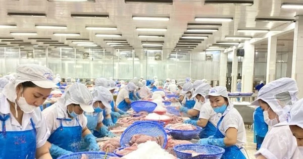 Nước nào tiêu thụ cá tra Việt Nam lớn nhất thế giới?