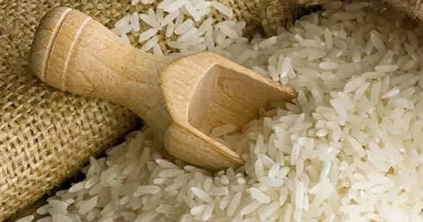 Lộc Trời tháp tùng Thủ tướng 'mở cánh cửa' cho gạo Việt ở đất nước 210 triệu dân