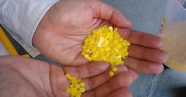 Từ một phụ phẩm, doanh nghiệp Việt sản xuất được sản phẩm cực quan trọng với nhiều ngành công nghiệp