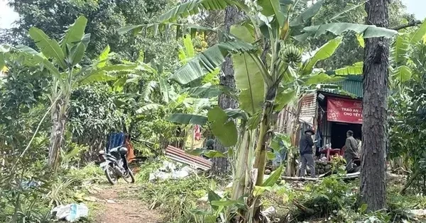 Vụ bé gái 2 tuổi mất tích bí ẩn ở Lâm Đồng: Huy động gần 100 người tìm kiếm