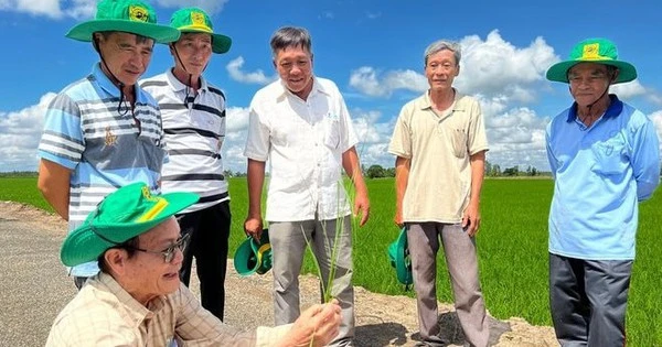 DN phân bón khuyên người dân bón ít phân hơn và một con đường để tiếp cận thị trường 12.000 tỷ USD