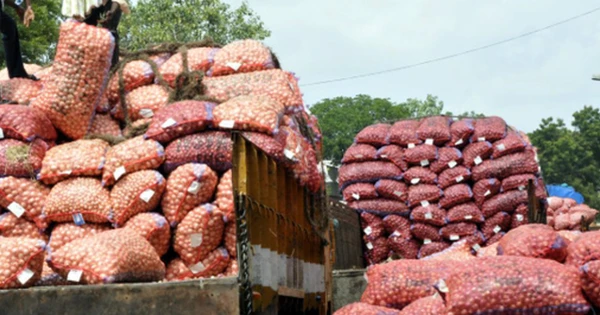Không phải gạo hay trái cây, Nga bất ngờ tích trữ một loại nông sản giá rẻ quan trọng: Nhập khẩu tăng mạnh 72%, hơn 200 container giao hàng mỗi ngày