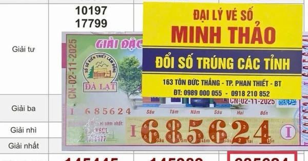 Xổ số miền Nam: Lộ diện nhiều người trúng đặc biệt vé số Đồng Nai, Kiên Giang, Lâm Đồng, Tiền Giang
