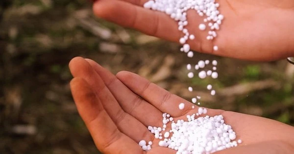 Nới lệnh cấm xuất khẩu, Trung Quốc tung ra thế giới hơn nửa triệu tấn mặt hàng chiến lược, xuất khẩu tăng 600%